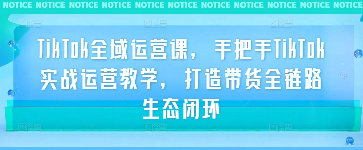 TikTok全域运营课，手把手TikTok实战运营教学，打造带货全链路生态闭环-闪越社