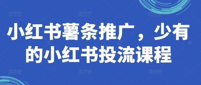 小红书薯条推广，少有的小红书投流课程-闪越社