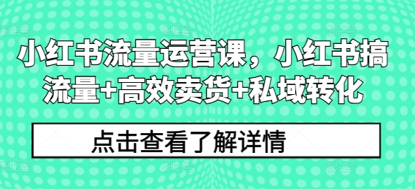 小红书流量运营课，小红书搞流量+高效卖货+私域转化-闪越社