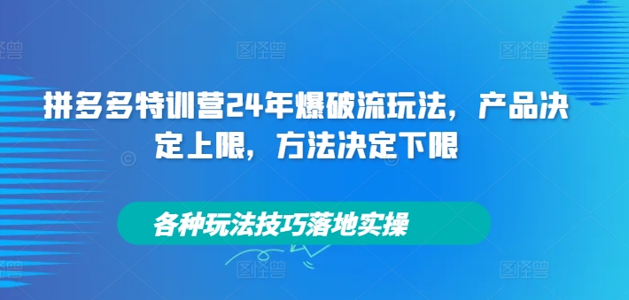 拼多多特训营24年爆破流玩法，产品决定上限，方法决定下限，各种玩法技巧落地实操-闪越社